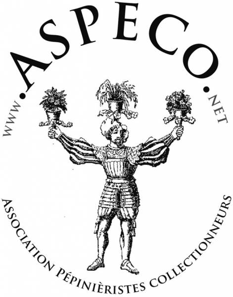 ASPECO Association des Pépinièristes Collectionneurs Var 83 & Bouches du Rhône 13 ASPECO