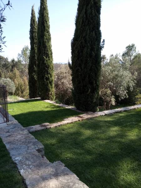 Gazon, Olivier et cyprès de Provence dans un jardin varois