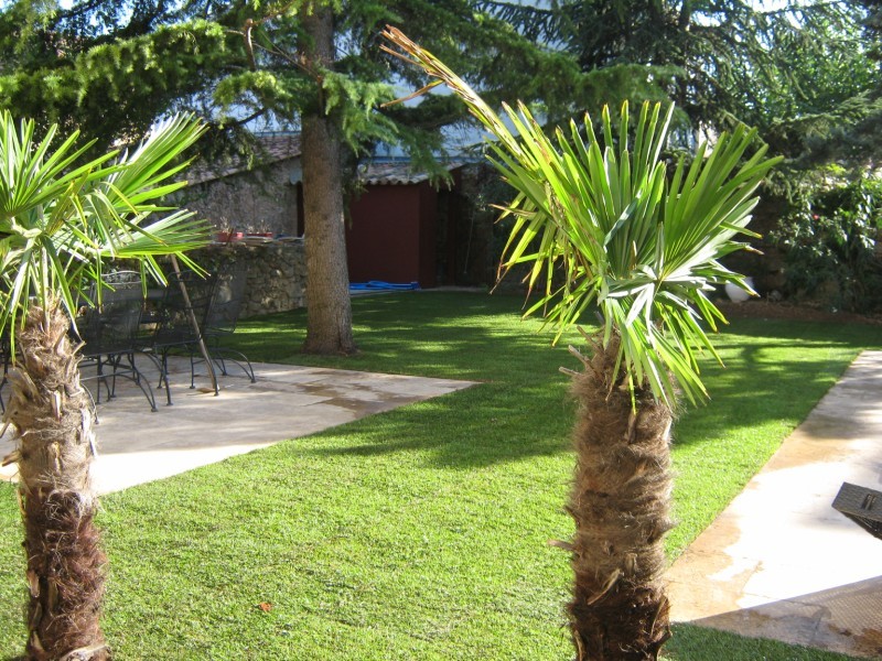 Jardin de ville avec pelouse plaquée et palmier a St Maximin dans le var