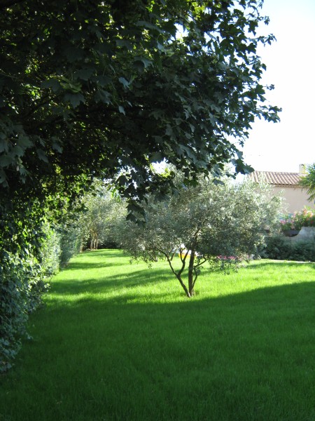 Jade Espaces Verts Pose de graviers pour jardin sec avec création de clôture en bois à proximité d'Aix-en-Provence