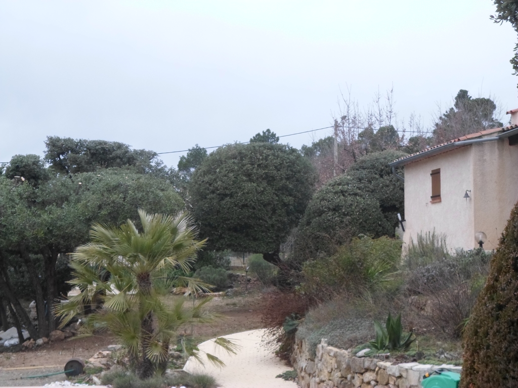 Jade Espaces Verts Création d'un jardin moderne pour une villa à Saint-Maximin-la-Sainte-Baume