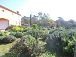 Jardin méditerranéen à Nans les Pins