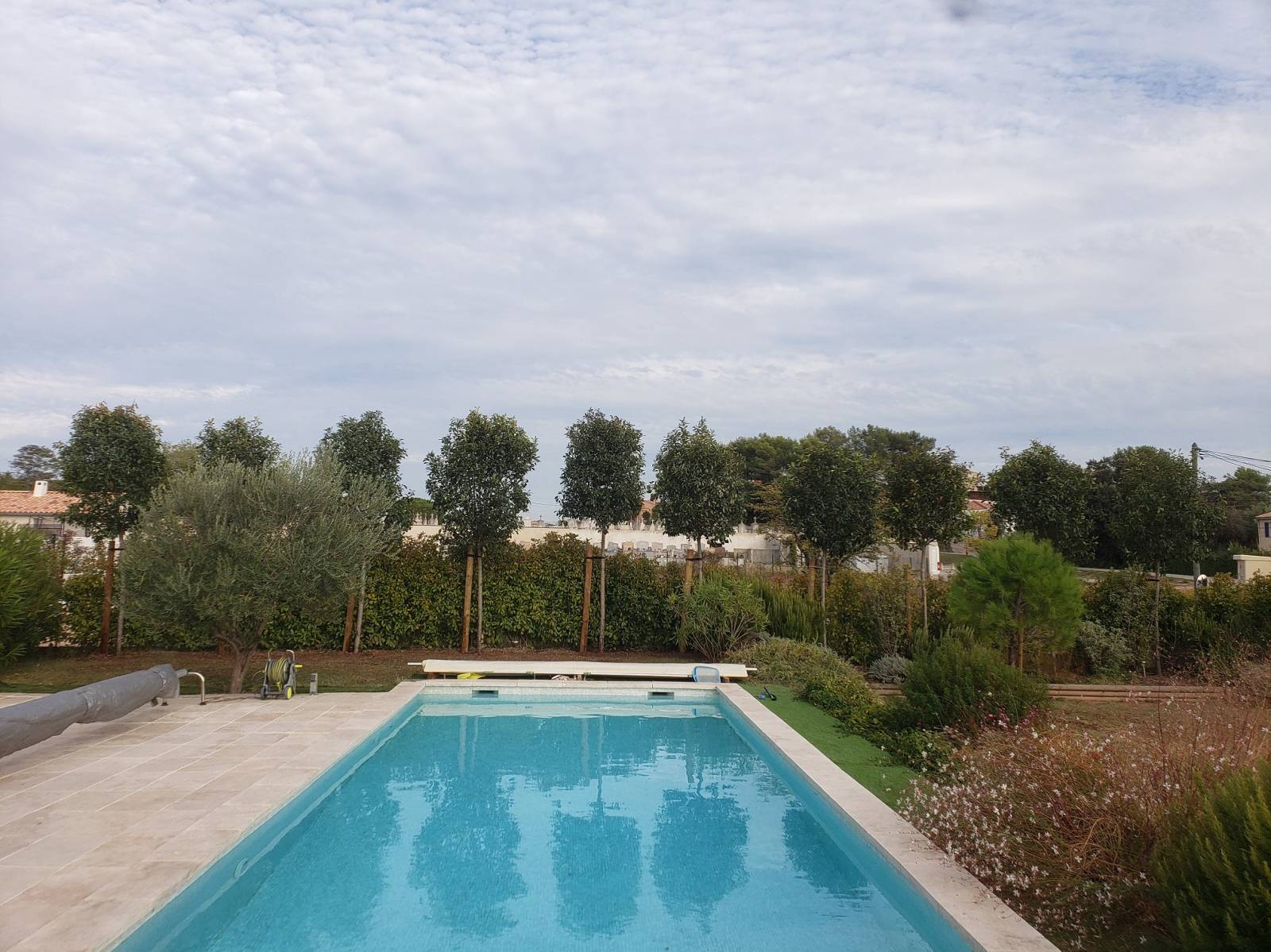 Plantation d'arbres exceptionnels dans le Var