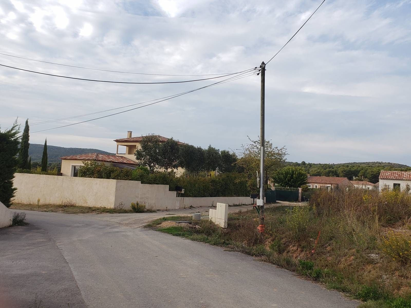 Doublage d'une haie avec des grands végétaux à Pourrières dans le Var