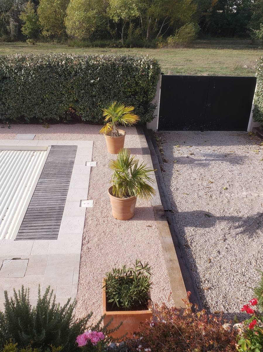 Remis en place des palmiers sur stabilisation de sol dans le var