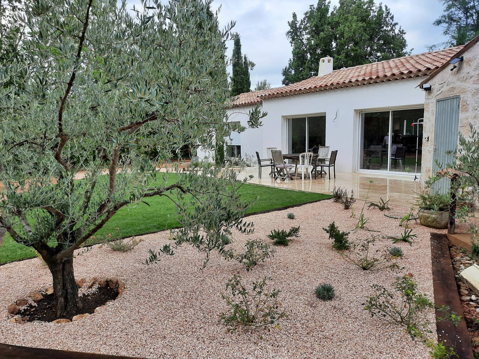 Espace paysager autour d'un oliver et devant une terrasseà Nans les Pins