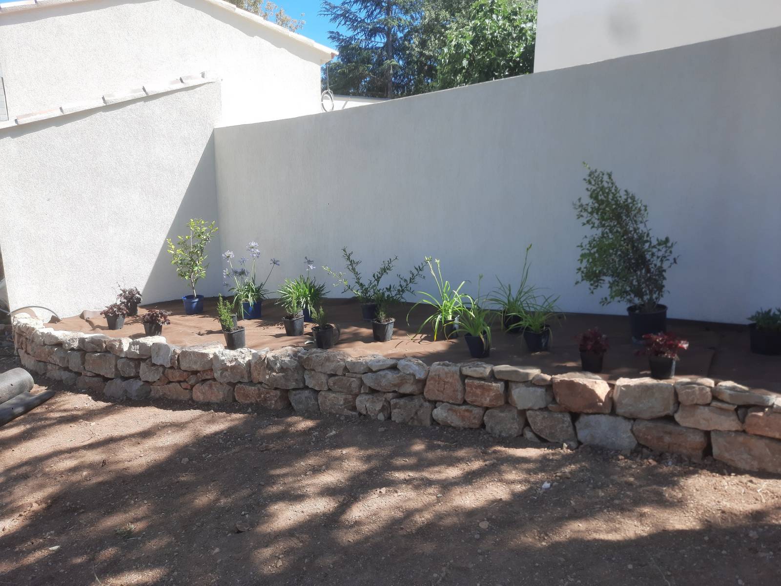 Création d'un massif paysager à St Maximin dans le Var