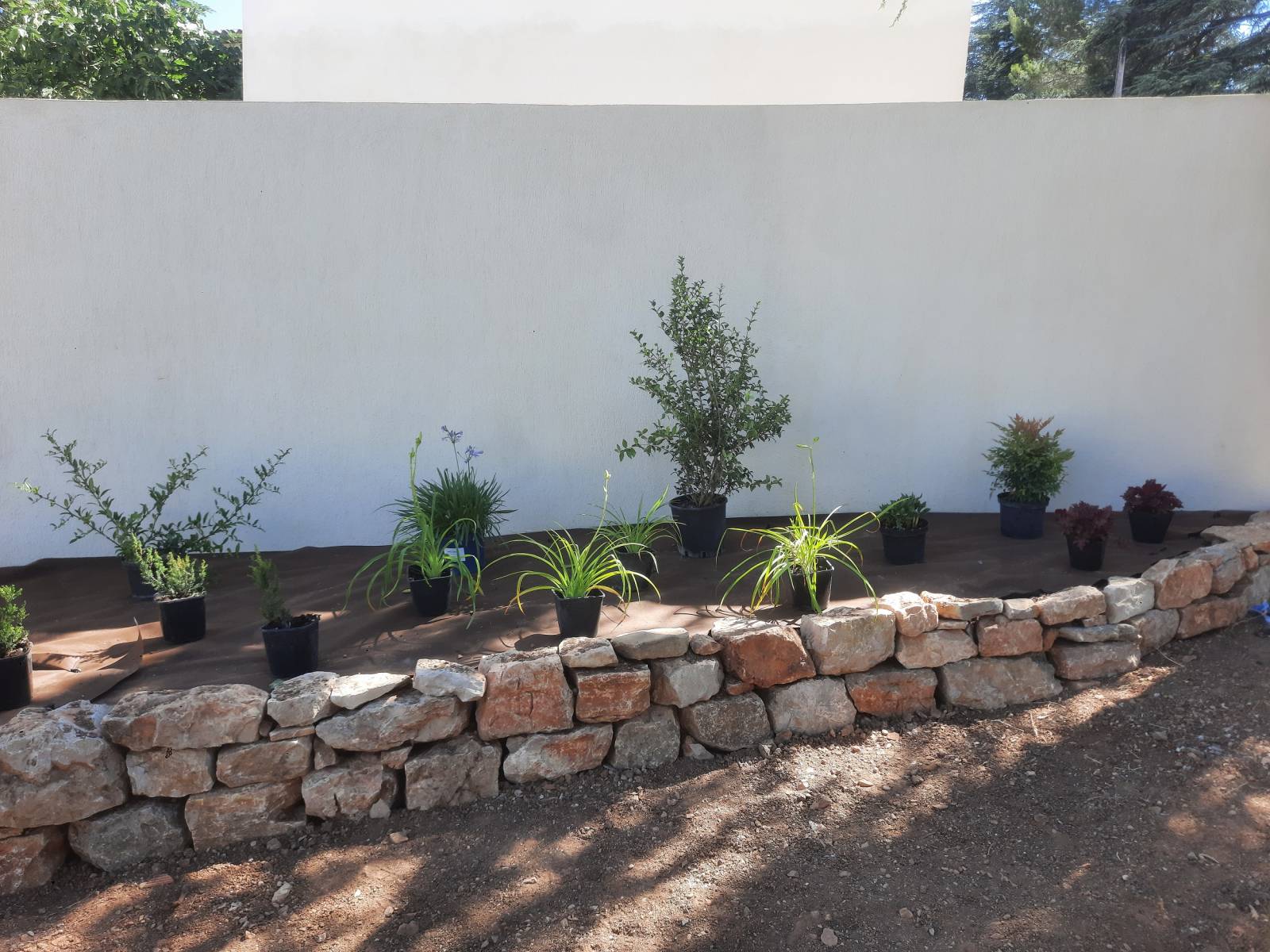 Création d'un massif fleuri à St Maximin dans le Var