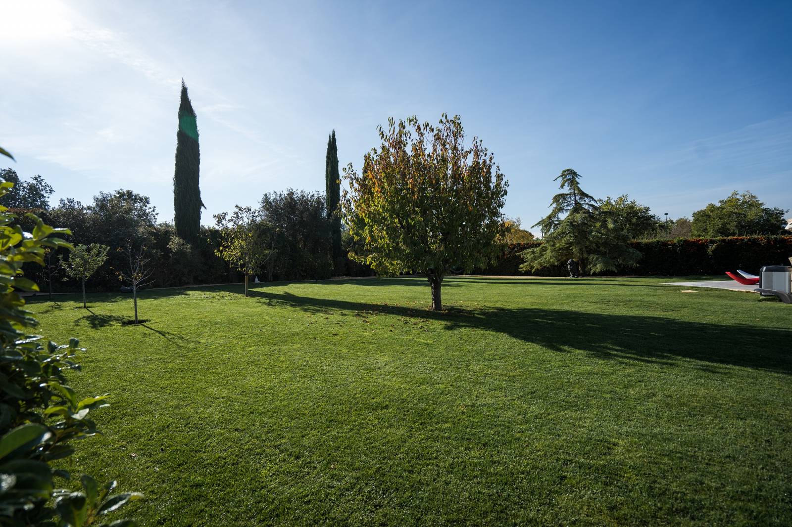 Gazon méditerranéen plaqué à Saint Maximin La Sainte Baume