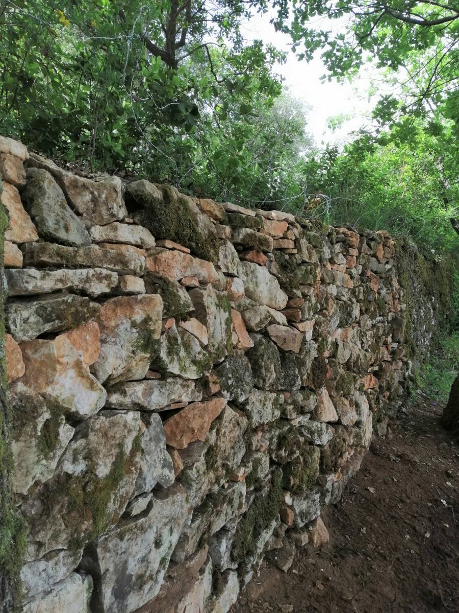 Remontage d'un mur en pierres sèches à Brignoles