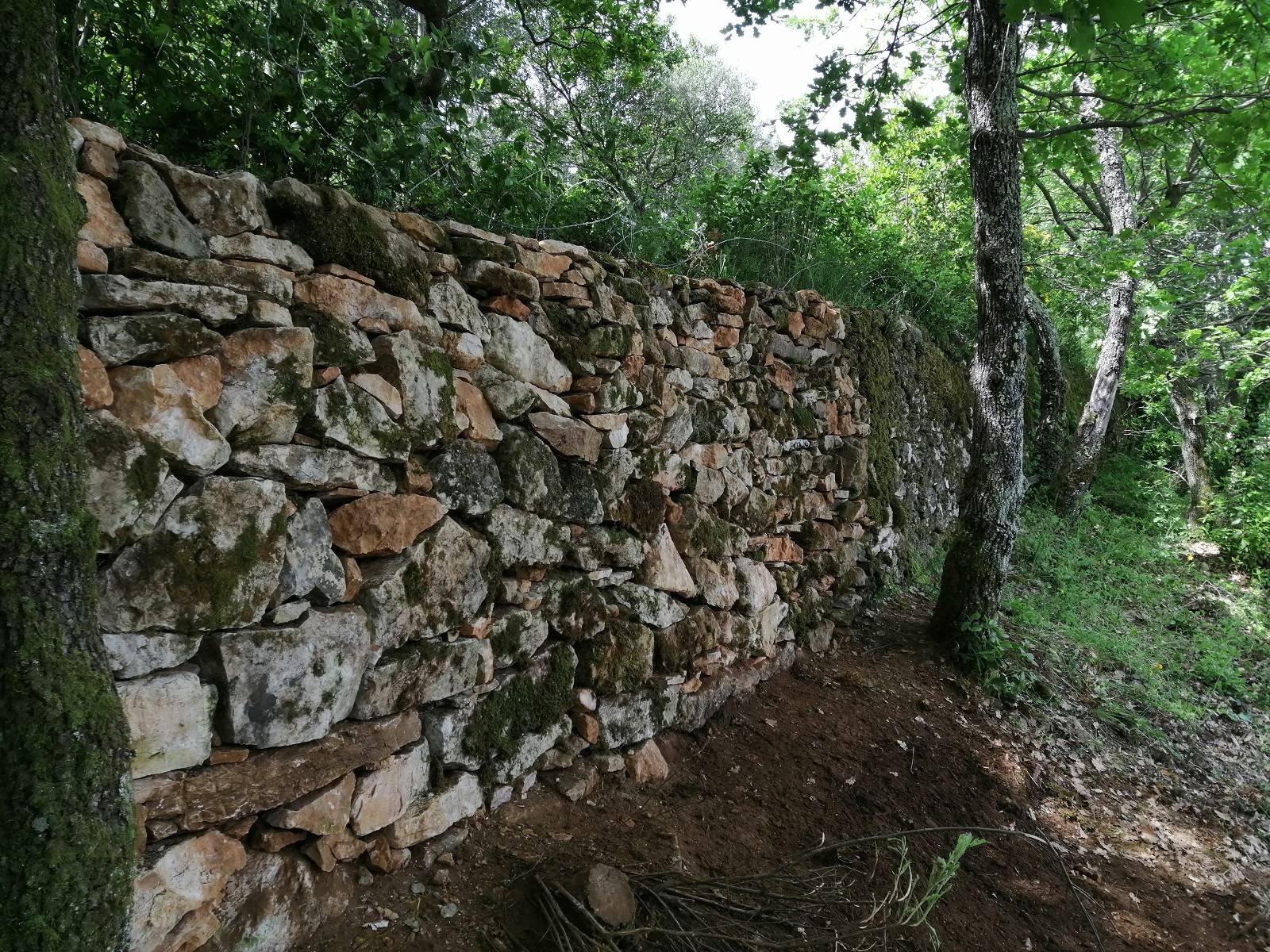 Restauration d'un mur en pierres sèches dans le Var