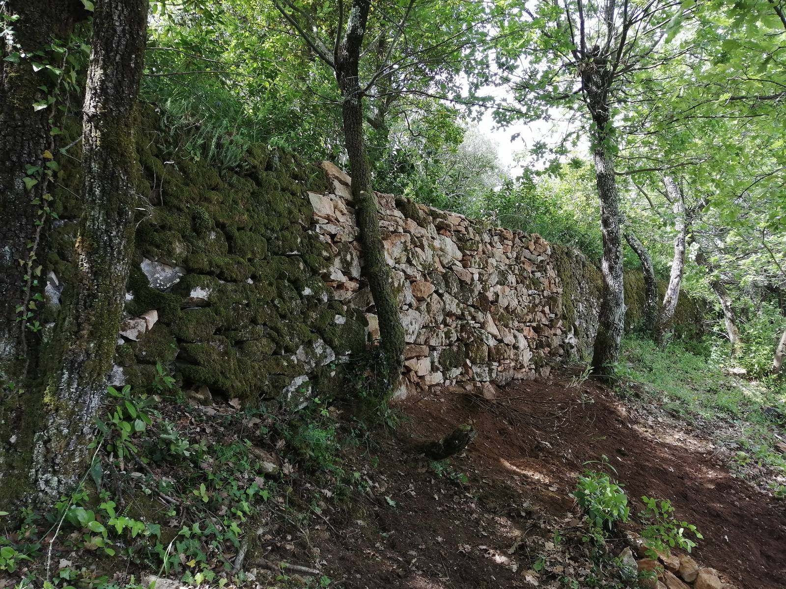 Restauration d'une restanque, bancaous à St Maximin la Ste Baume