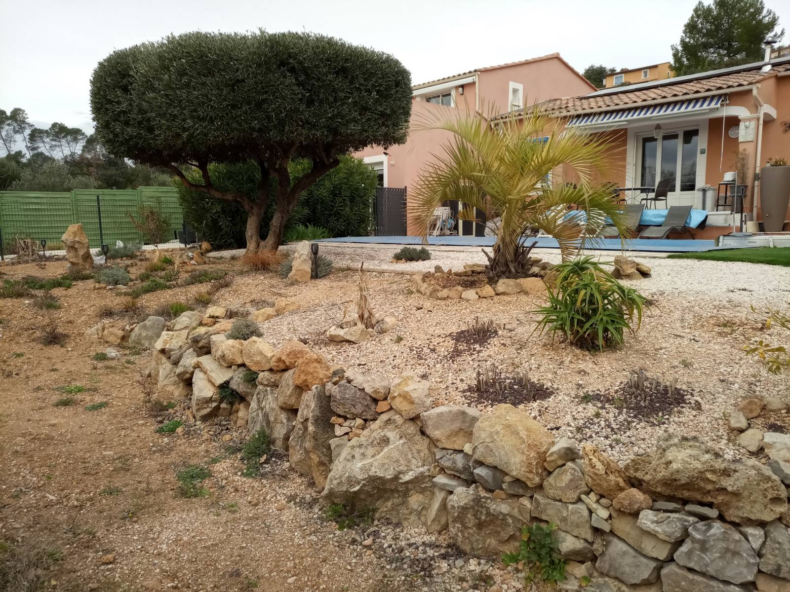 Jardin a Carces avec olivier avant travaux