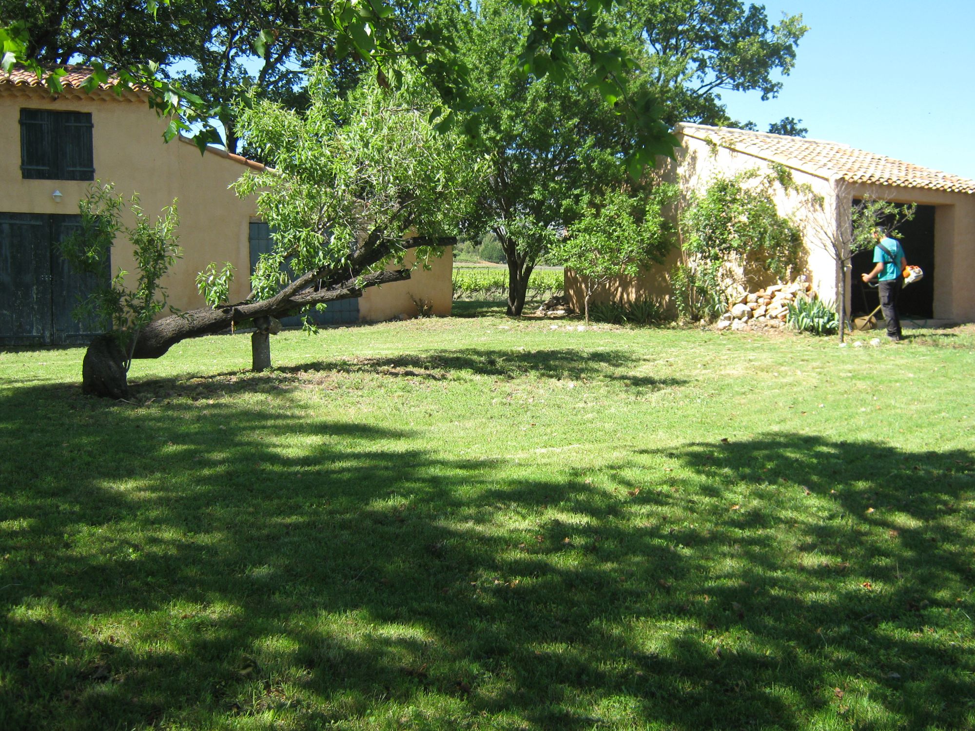 Entretien de jardin à Peynier 13