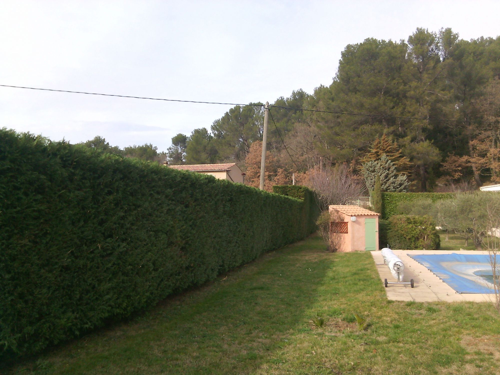Taille de haie de cyprès à Saint Maximin