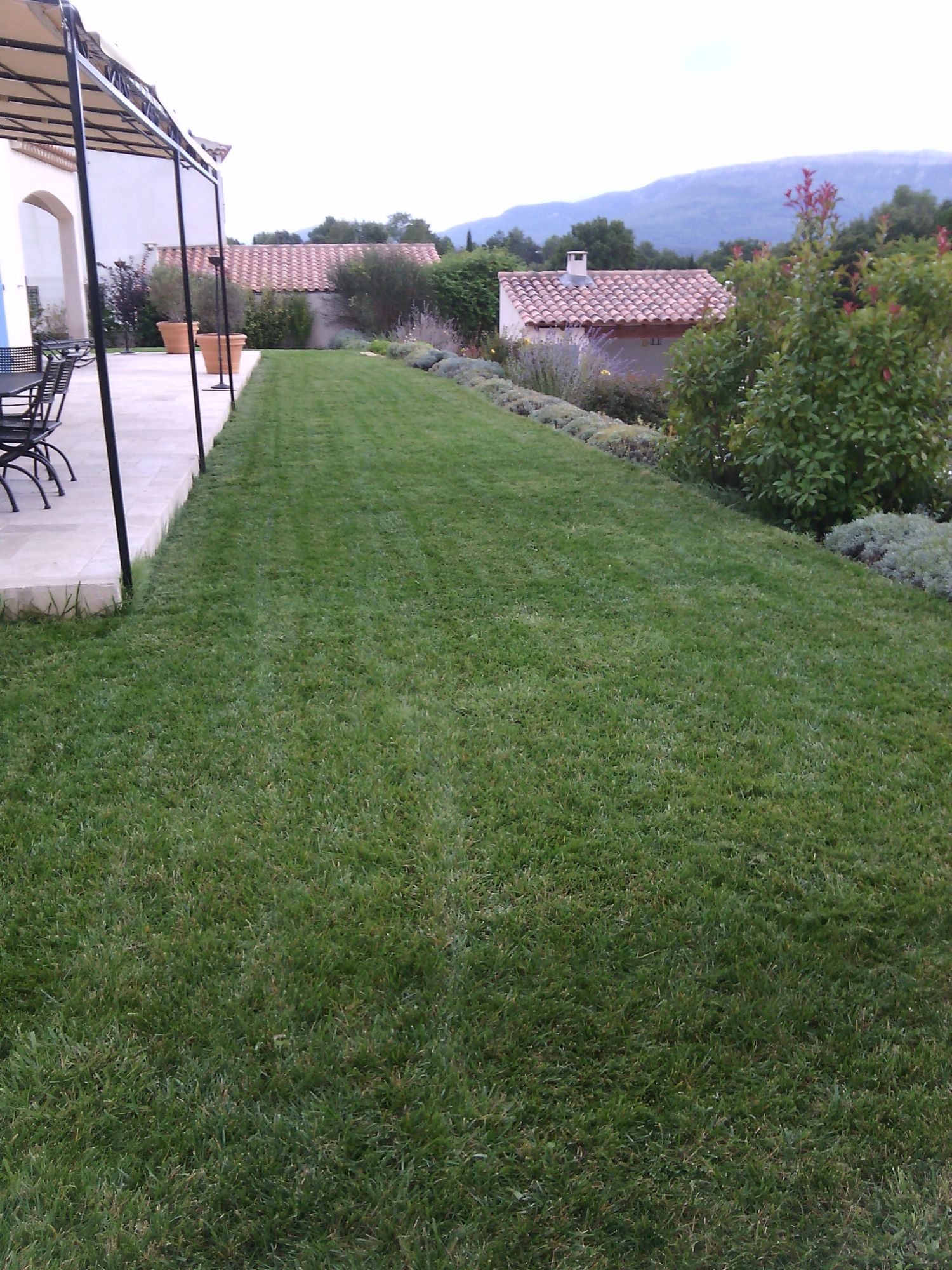 Tonte de pelouse à Pourrières dans le var