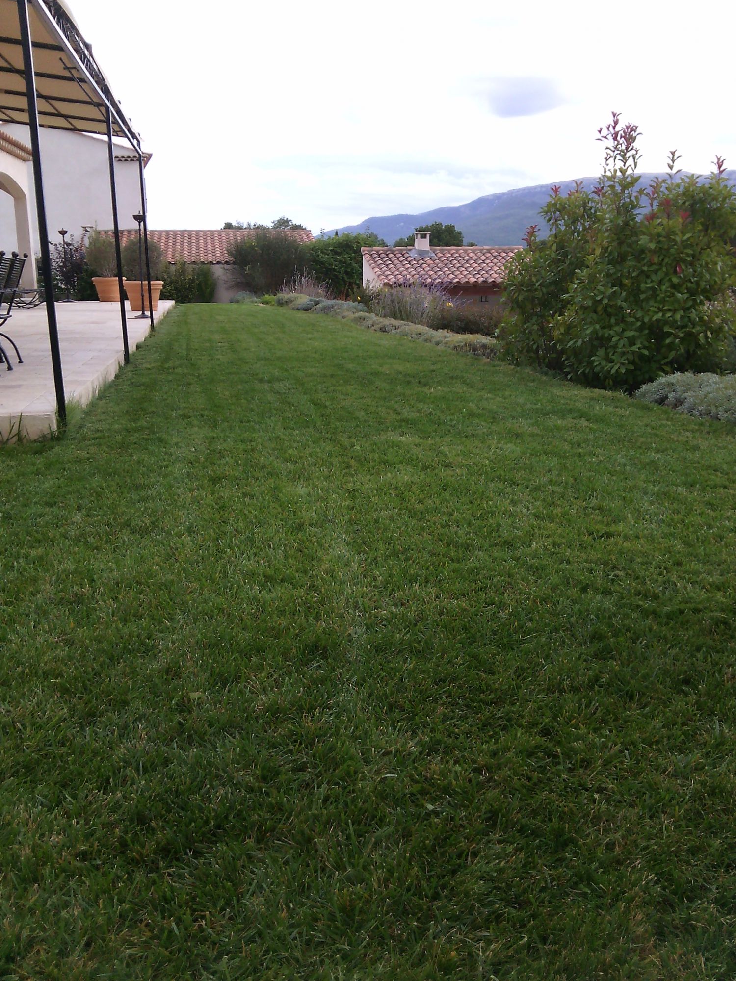 Entretien de pelouse à Pourrières dans le var