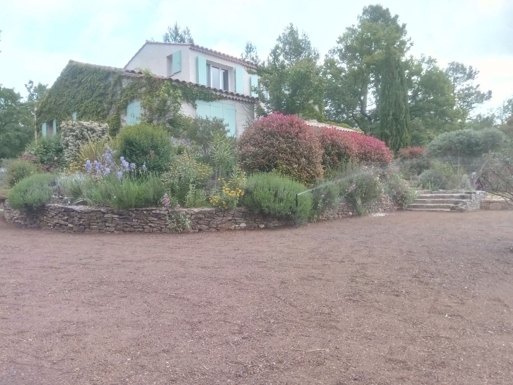 Prairie fleurie semée à Saint Maximin