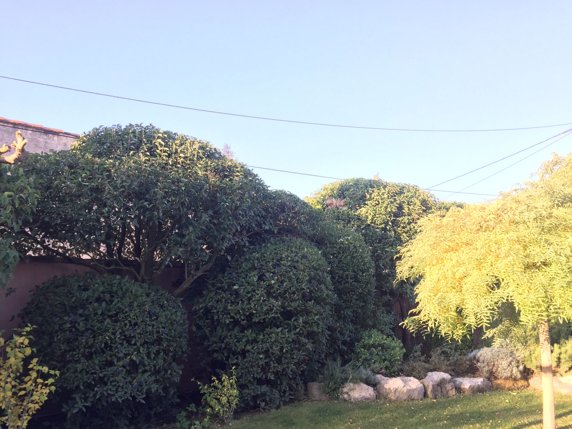 Pose mur anti-bruit dans un jardin près d'Aubagne dans les Bouches-du-Rhône