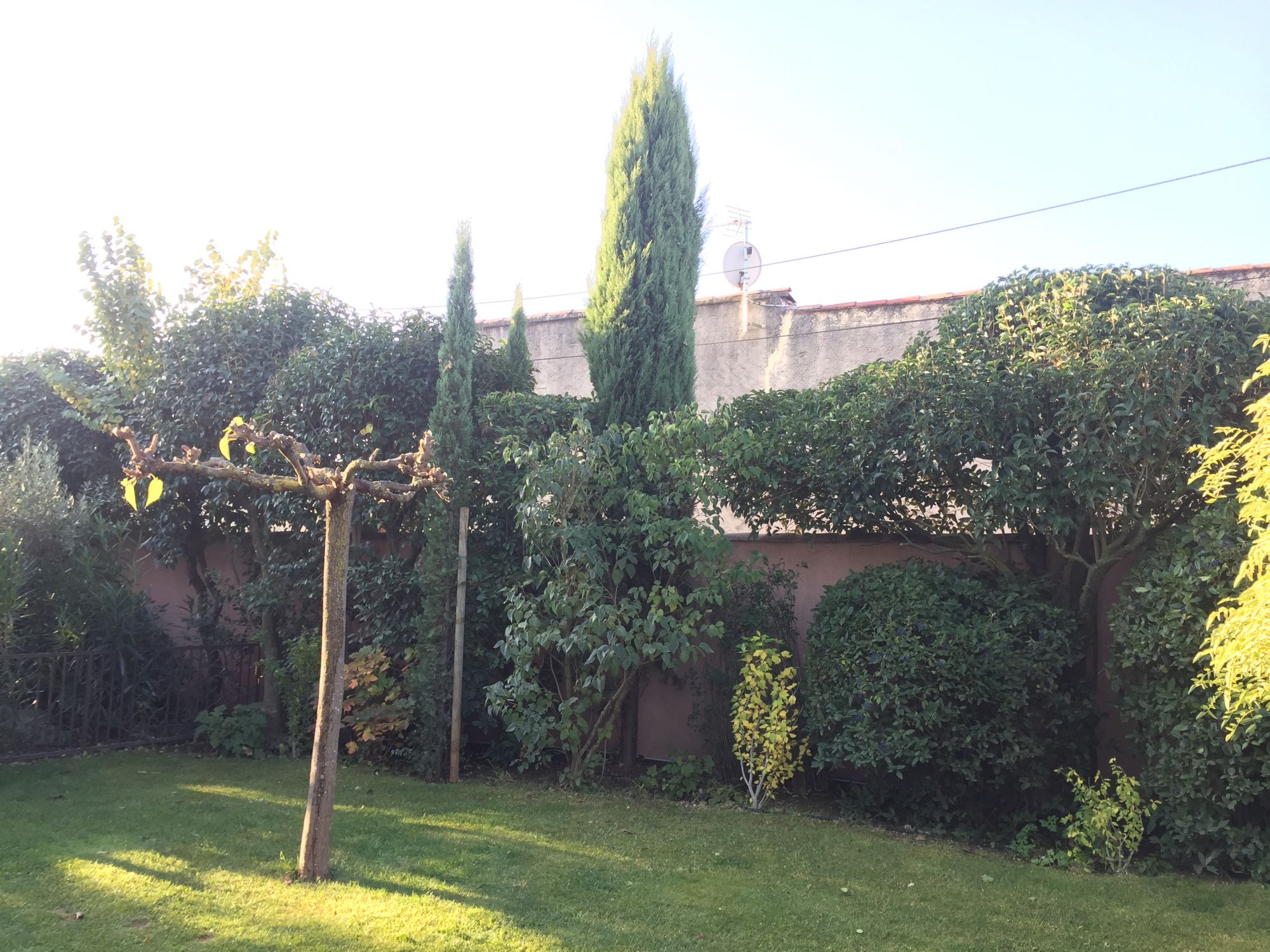 Entretien et taille dans un jardin à St Maximin dans le var