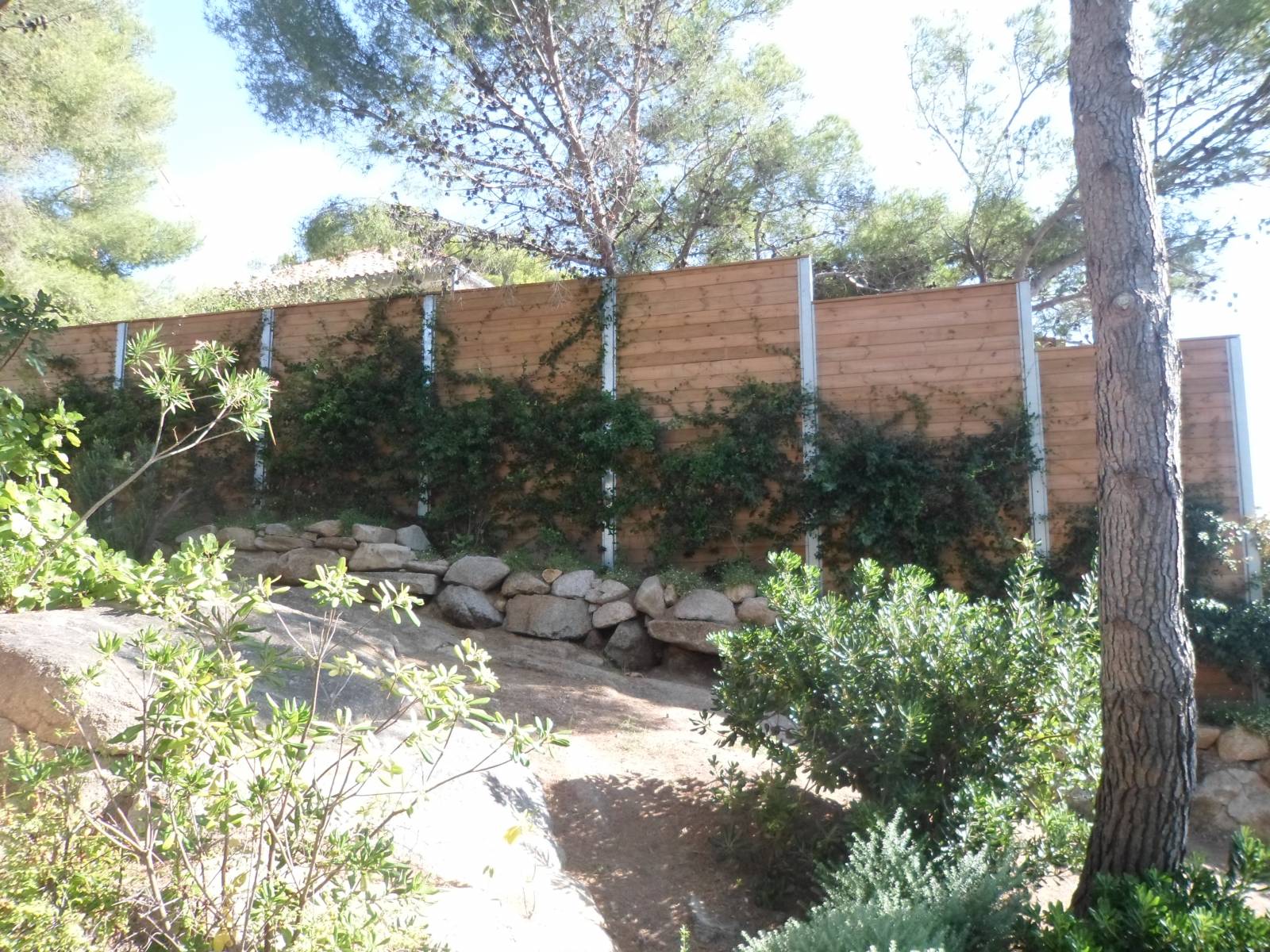 Végétalisation de la palissade bois dans le var à Ramatuelle