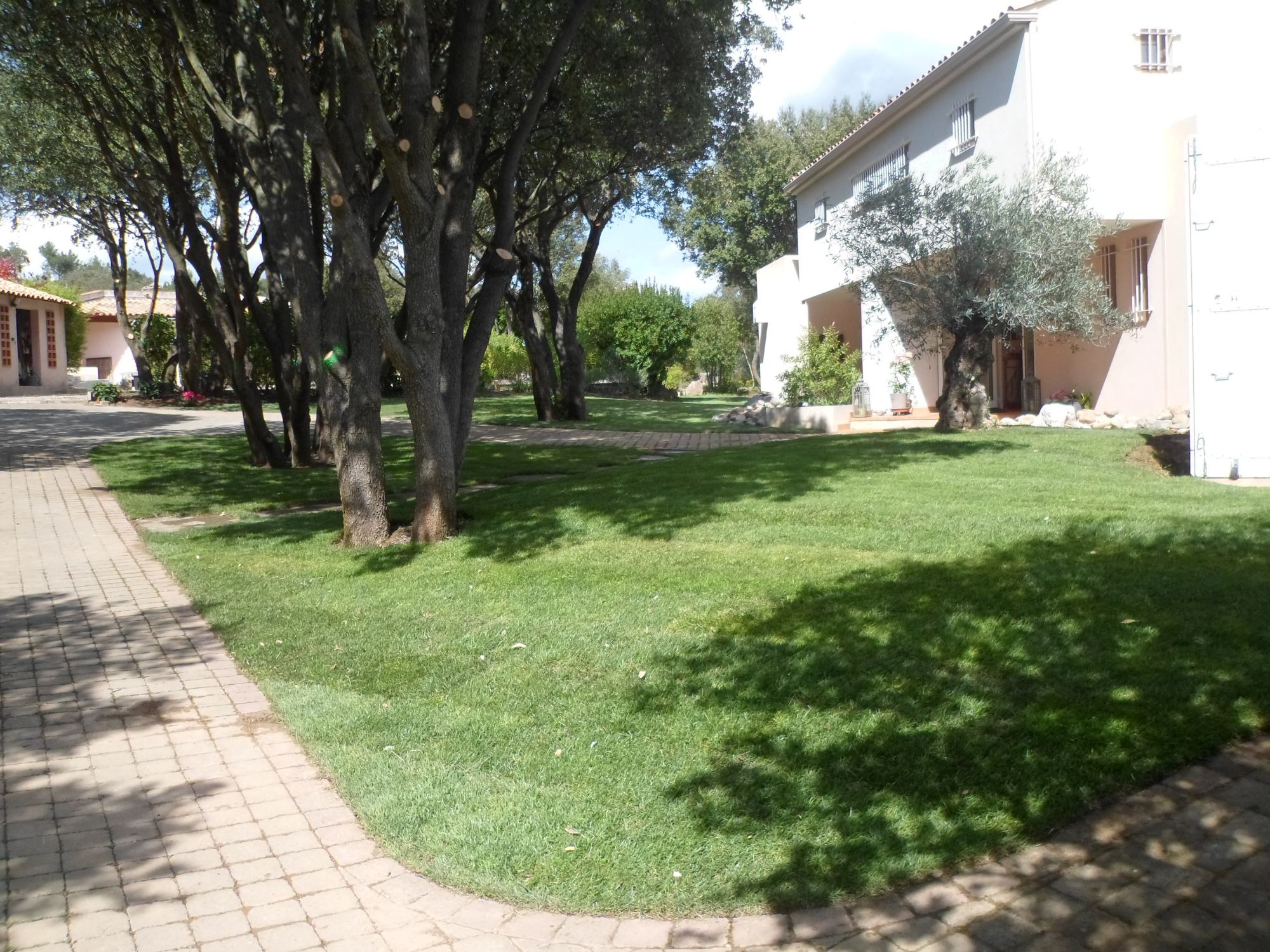 Pelouse plaquée à Saint Maximin Jade Espaces Verts