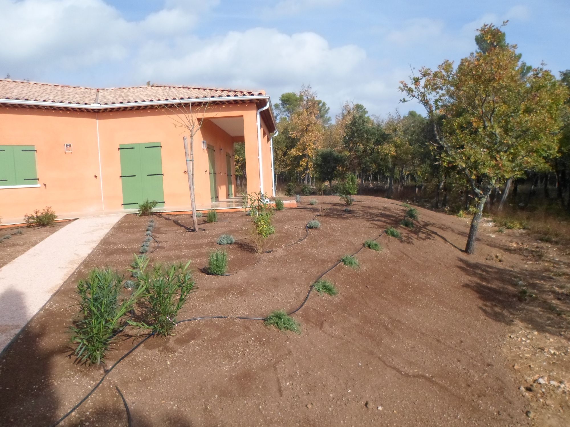 création de jardin près d'un bois de chênes dans le Var