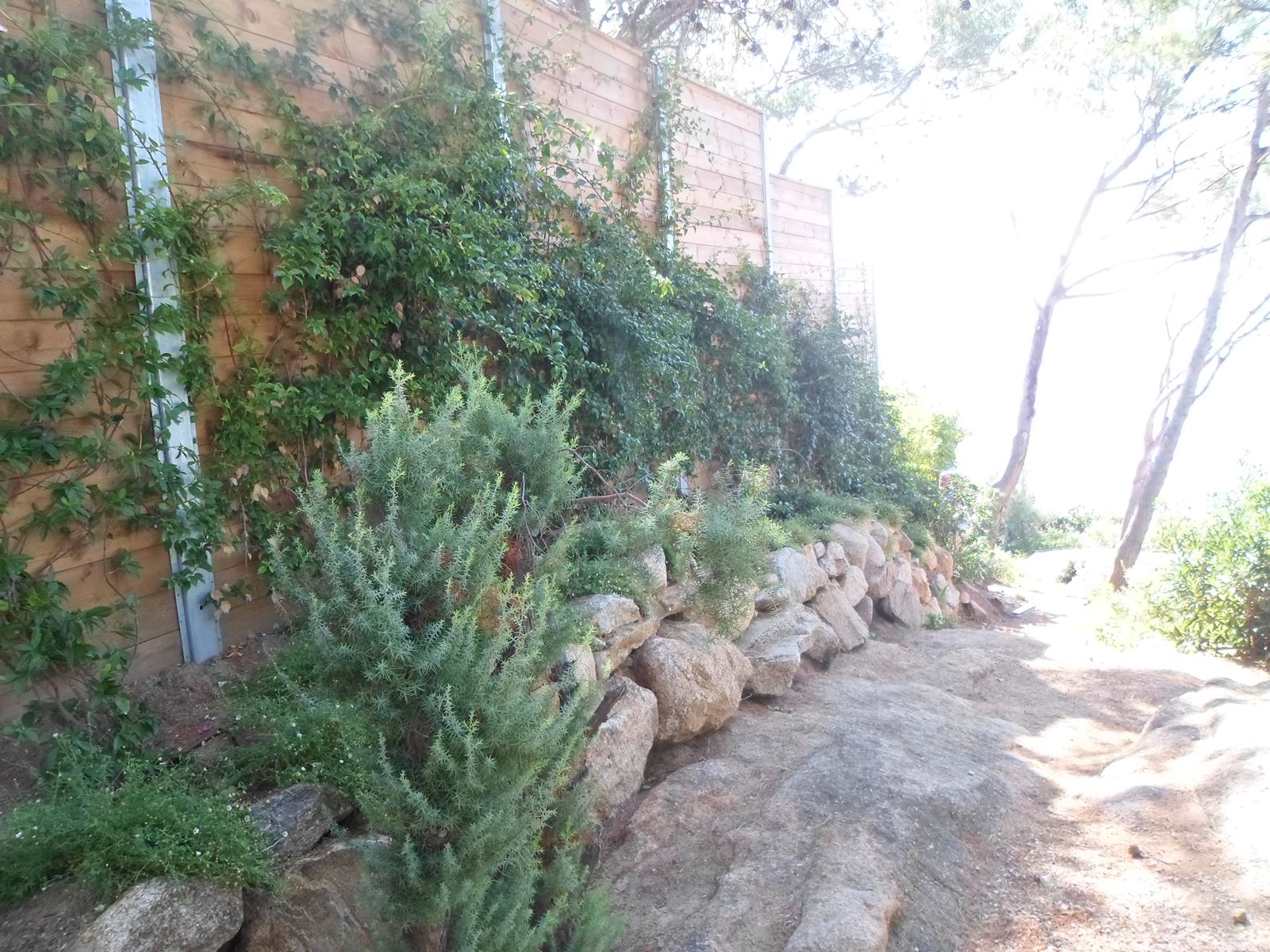 Clôture bois végétalisée dans le var