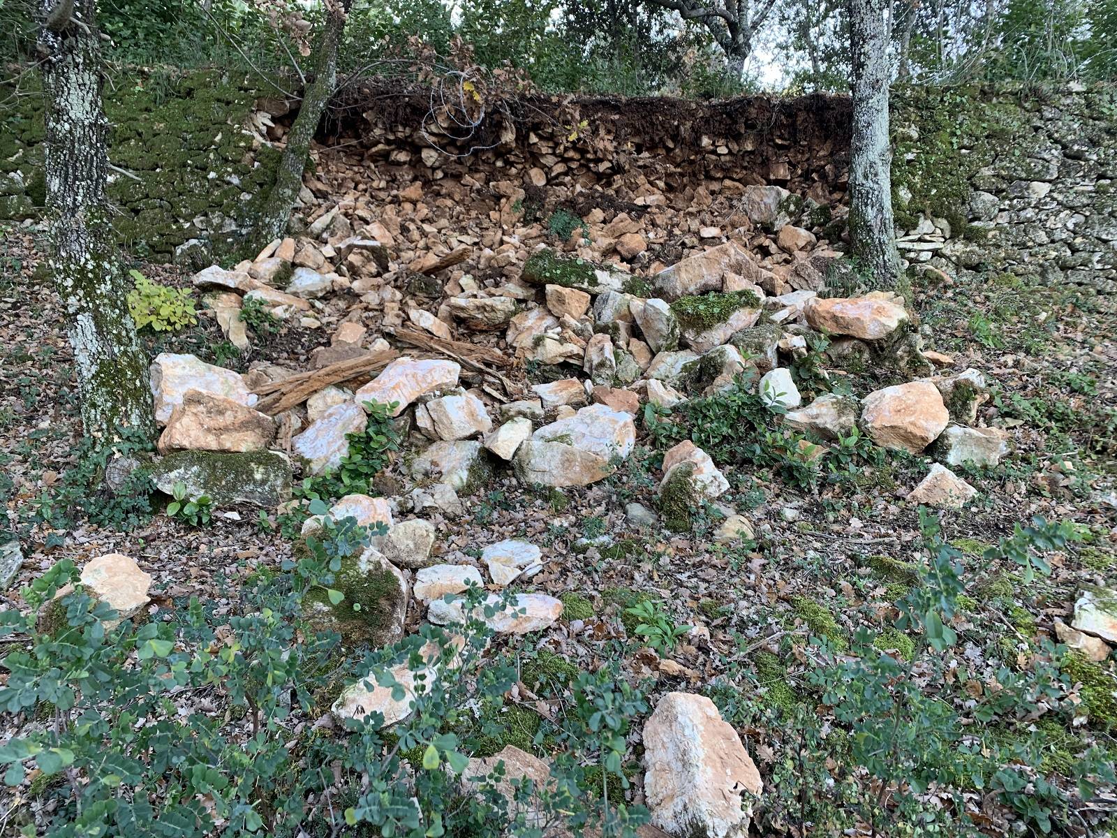 Mur de restanque a restauré à Brignoles dans le Var