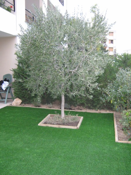 Pose de gazon synthétique