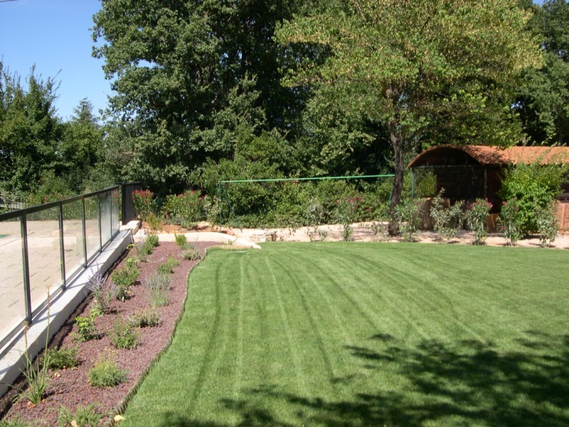 Tonte de gazon a nans les pins