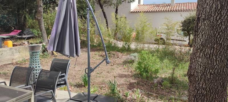 Séparation entre deux jardins : haie de bambous 