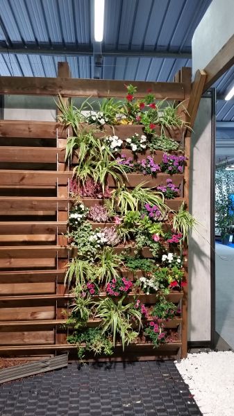 Mur végétalise et sa structure dans le Var