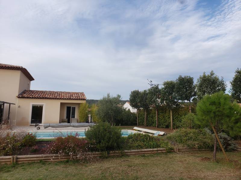 Plantation de photinia tige de plus de 3 m de haut dans le Var