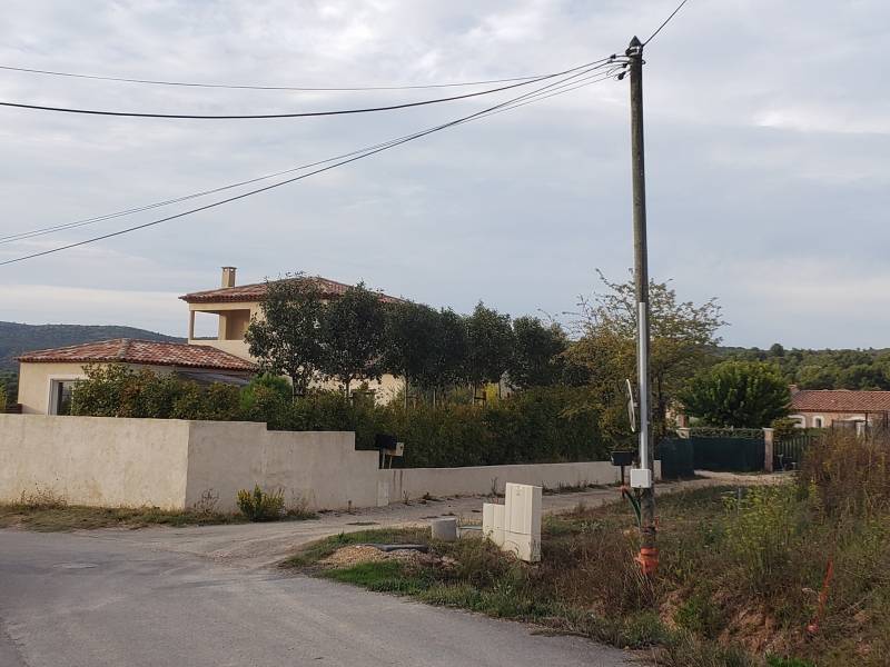 Une belle haie dans le var avec des Photinia