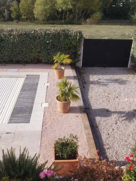 Remis en place des palmiers sur stabilisation de sol dans le var