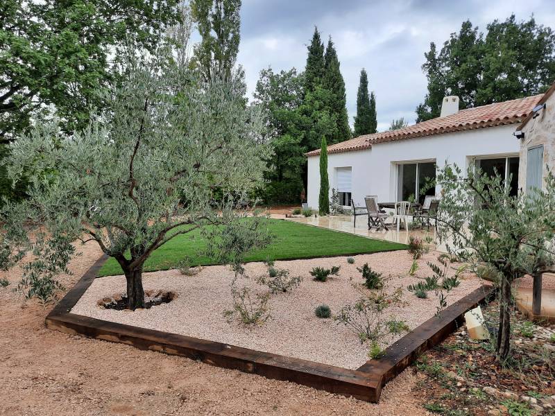 Massif fleuris au pied d'un olivier très méditerranéen dans le Var