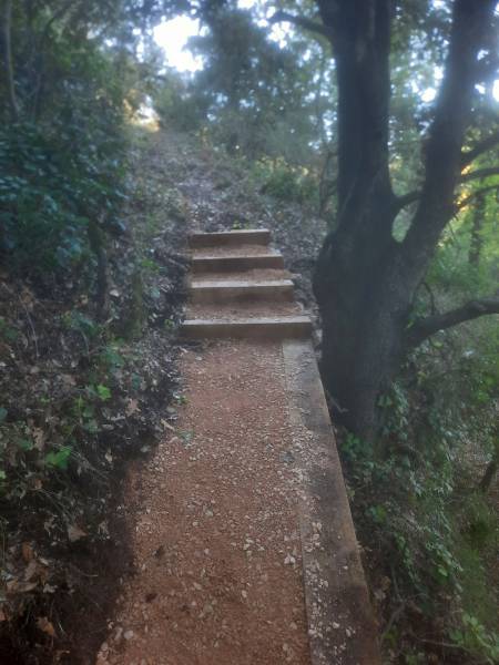 Escalier à flanc de colline à Ponteves dans le Var