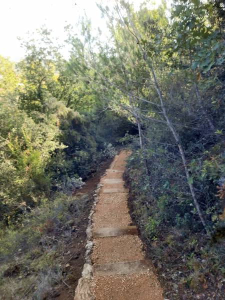 Escalier et pas d'äne réalisé par JADE Espaces Verts