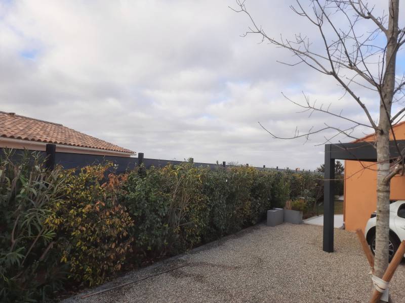 Un cloture en plastique recyclé derrière une haie bien entretenu à pourrières