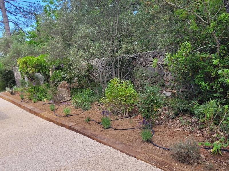 Réaménagement paysager avec des plantes méditerrannéennes