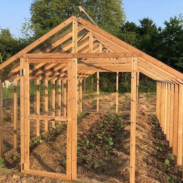 serre en bois de culture