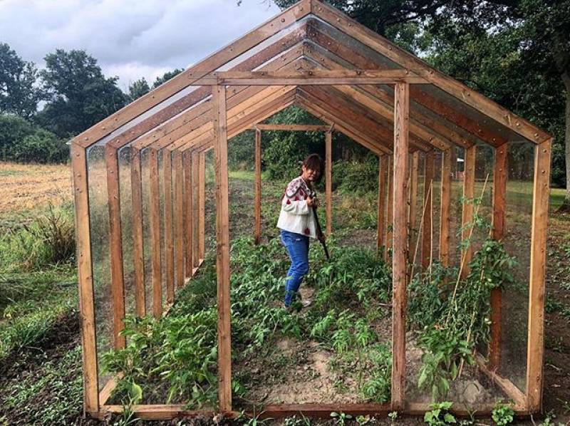 Serre en bois 10 m² potagère pouyr le Var