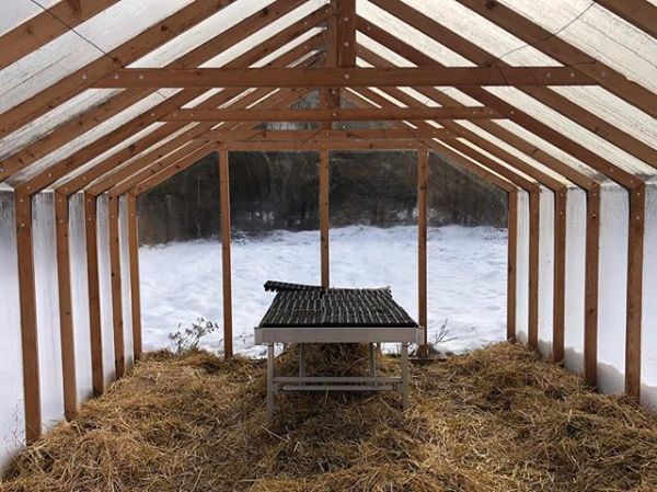 Serre en bois avec table de rempotage