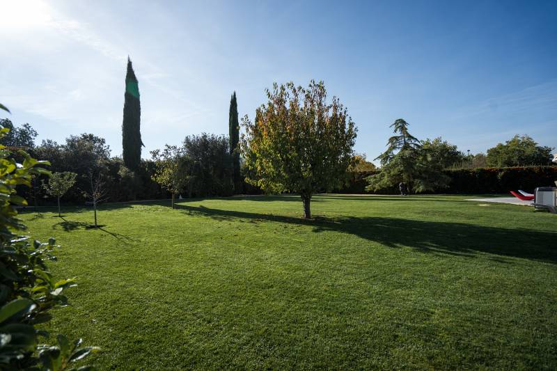 Gazon méditerranéen plaqué à Saint Maximin La Sainte Baume