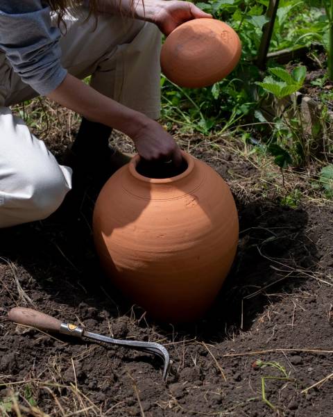 Mise en place un Oyas ou Ollas à enterrer