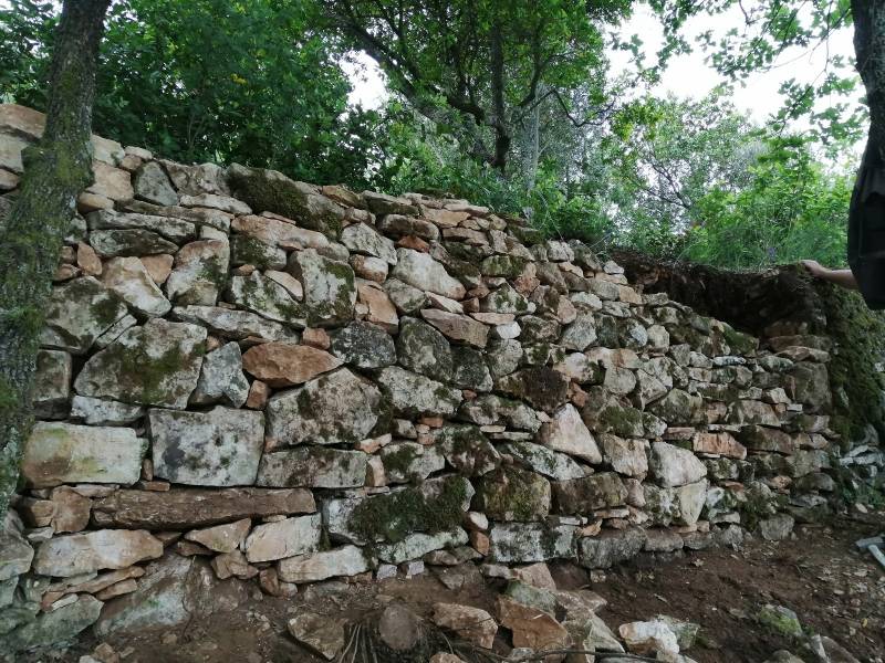 Restauration d'un mur de bancaous en provence