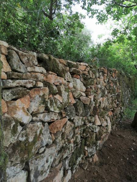 Remontage d'un mur en pierres sèches à Brignoles