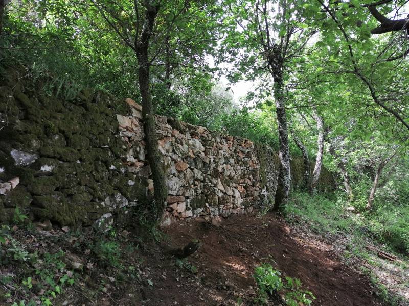 restauration d'une restanque à Brignoles