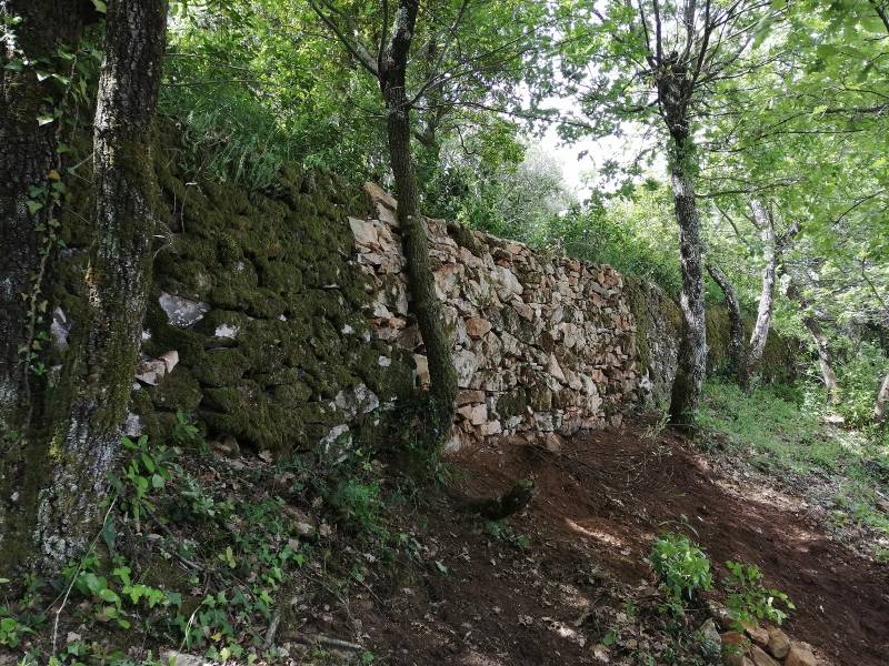 Restauration d'une restanque, bancaous à St Maximin la Ste Baume